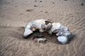 20090605_161017 D3 X1